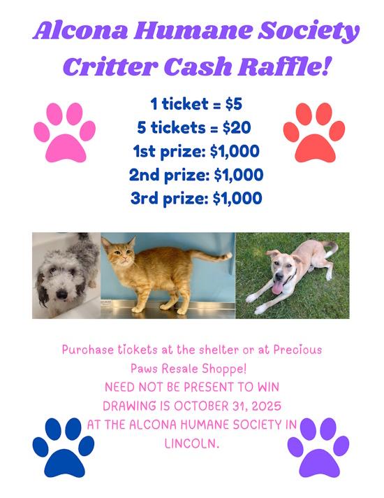 critter cash flier